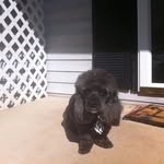 Marilyn L Sappington - @sappingtonmarilyn - Instagram
