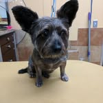 marilyn scales - @marilynscales - Instagram