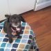Marilyn Kilby Schauer - Facebook