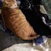 Marilyn Schauer - Facebook
