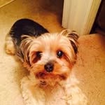 Marilyn Schramm - @schrammmarilyn - Instagram