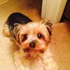 Marilyn Schramm - @marilynschramm - TikTok