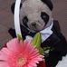 Marilyn Schuster - Facebook