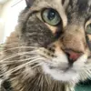 Marilyn :) - @marilyn.the.mess - TikTok