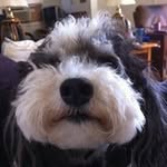 Marilyn Self - @mself99 - Instagram