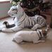 Marilyn Swarts Severson - Facebook