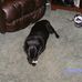 Marilyn Shimer - Facebook