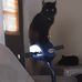 Marilyn Sieben - Facebook