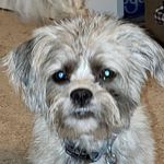 Marilyn Wiczynski Siebenaller - @marilynsiebenaller - Instagram