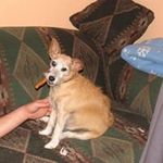 Marilyn Bradford Silbaugh - @marilynbradfordsilbaugh - Instagram
