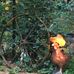 Marilyn Sims - Facebook