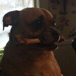 marilyn singleton - @marilyn.s.singleton - Instagram