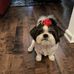 Marilyn Sneed - Facebook