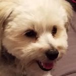 Marilyn Snow - @marilynsnow40 - Instagram