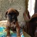 Marilyn Solberg - Facebook