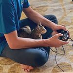 Marilyn Sosa - @sparky.catcorner - Instagram