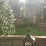 Marilyn Sparrow - @sparrowmarilyn - Instagram