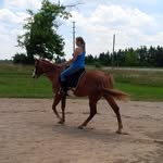 Marilyn Spence - @marilynspence44 - Instagram