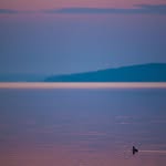 marilyn spence - @marilynspence27 - Instagram