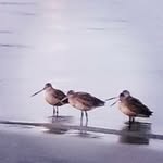 Marilyn Spencer - @marilyn.spencer.1044 - Instagram