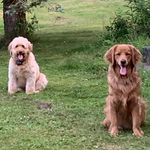 Marilyn Spitzer - @marilyn.spitzer.3 - Instagram