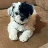 marilynstamper - @marilynstamper - TikTok