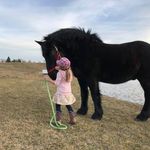 Marilyn Stamp Smith - @marilynstampsmith - Instagram
