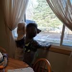 Marilynne Stanfield Bowe - @overaged - Instagram