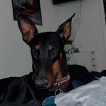Marilyn Stauffer - @marilyndobie20 - Instagram