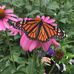 Marilyn J Steiner - Facebook