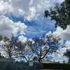 marilynsteier8 - @marilynsteier8 - TikTok