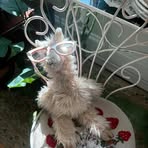 Marilyn Stivers - Facebook