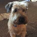 Marilyn Stokes - @mstokes1110 - Instagram