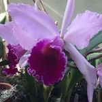 Marilyn Stoll - @marilynstoll - Instagram