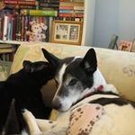 Marilyn Stratton - @mstratton11 - Instagram