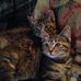 Marlyn Strickler - Facebook