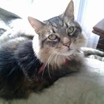 Marilyn Strom Carroll - @marilyn.s.carroll - Instagram