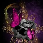 Marilyn Stroud - @marilynstroud - Instagram
