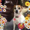 Marilyn Stroud - @user5028305544572 - TikTok