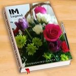 Marilyn Sullivan - @marilyn.sullivan.585 - Instagram