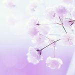 Marilyn Sullivan - @the_marilyn_sullivan - Instagram