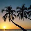 Marilyn Sullivan - @ny70289737315 - TikTok
