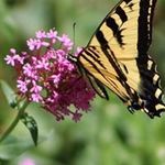 Marilyn Sutter - @marilynsutter - Instagram