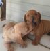 Marilyn Talbert - Facebook