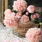 Marilyn Doyle Teeter - Facebook