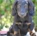 Marilyn Terrill - Facebook