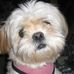 Marilyn Eng Tillman - Facebook