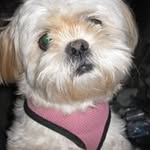 Marilyn Eng Tillman - @marilyntillman - Instagram