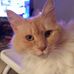 Marilyn Towne - Facebook