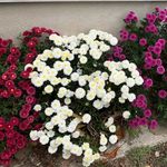 Marilyn Townes - @marilyntownes - Instagram